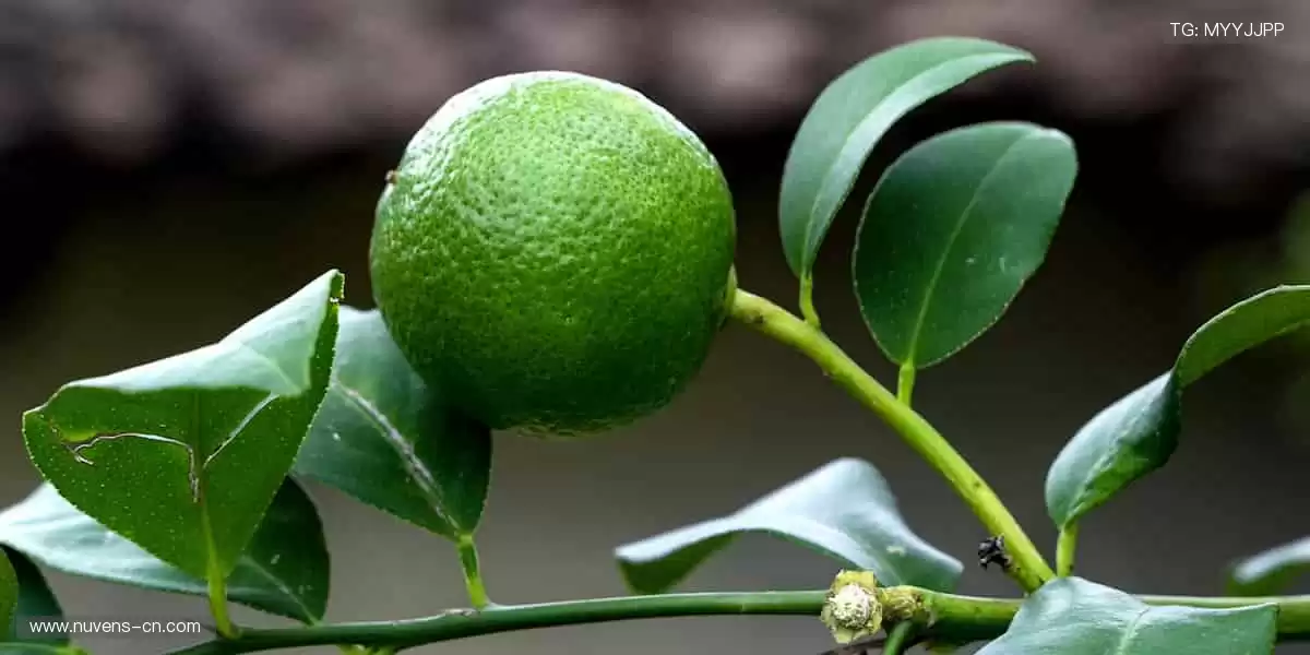 🎁限量周边，把赛场激情带回家！